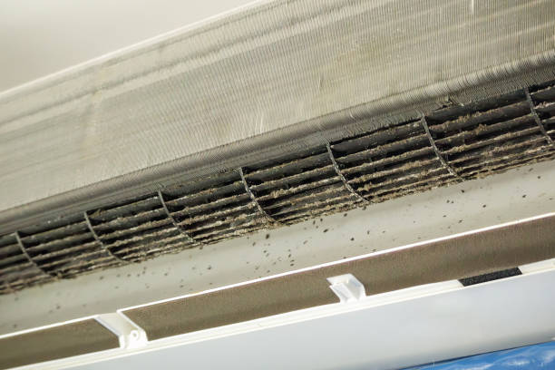 Best Dryer Vent Cleaning Services  in Ponderosa Pine, NM